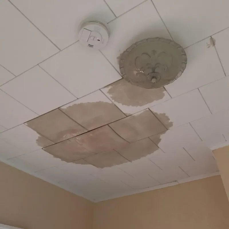 Ceiling Water Damage Repair in Weeping Water, NE