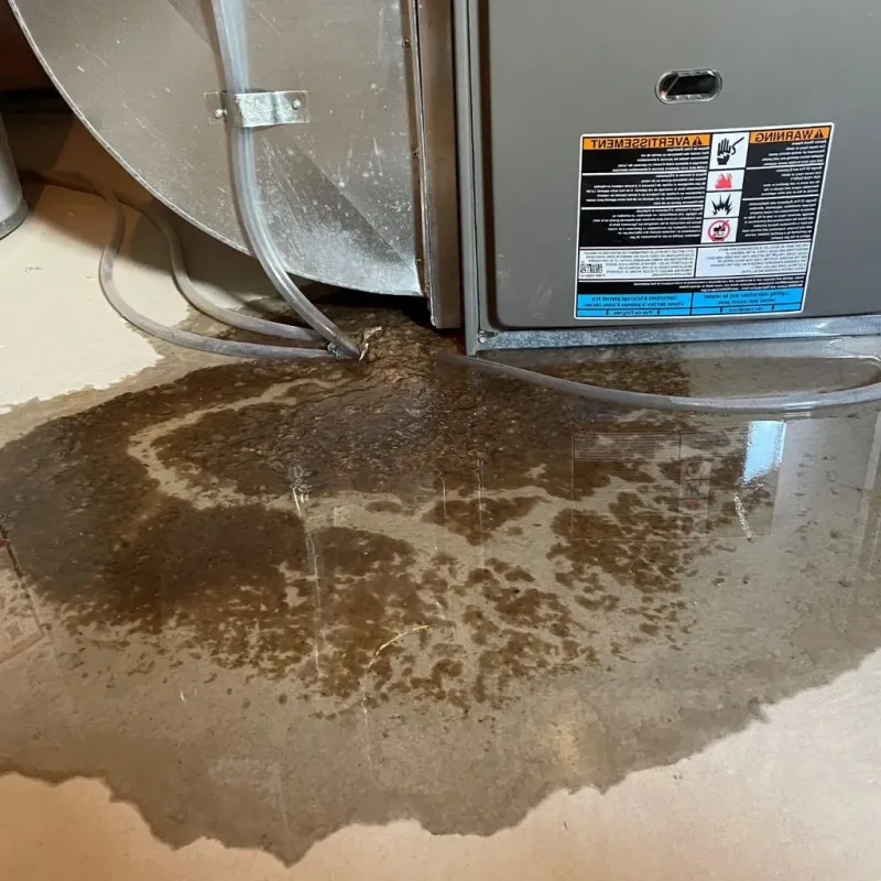 Pipe Burst and Leak Restoration in Weeping Water, NE