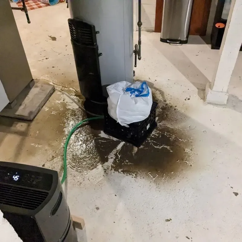 Sewage Backup Cleanup Service in Weeping Water, NE